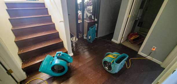 Best Flood damage cleanup  in Woodward, OK