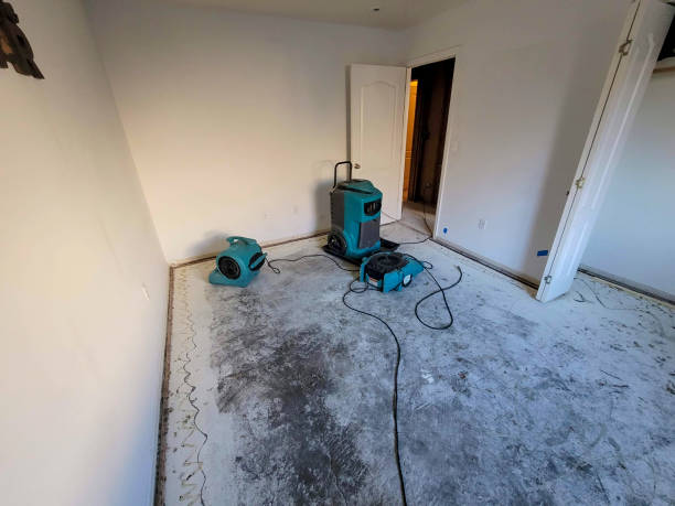 Best Water damage cleanup near me  in Woodward, OK