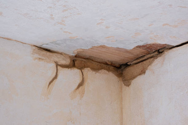 Best Water damage restoration near me  in Woodward, OK