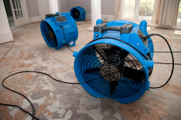 Best 24-hour water damage restoration  in Woodward, OK