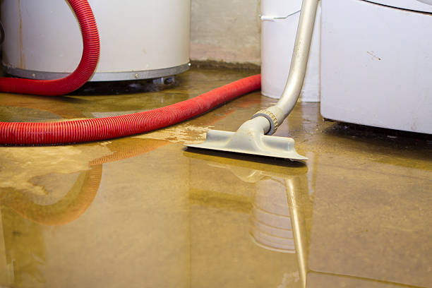 Best Water damage cleanup near me  in Woodward, OK