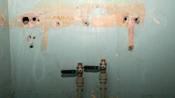 Best Fire Damage Restoration  in Woodward, OK