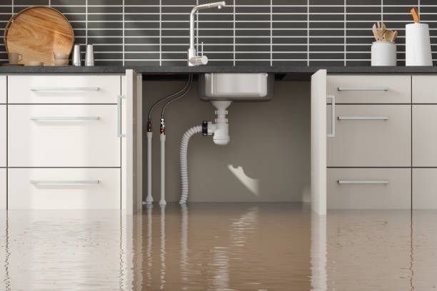 Best Carpet water damage restoration  in Woodward, OK